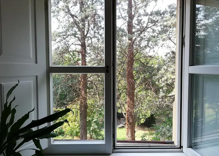 Teatro 3* Τεργέστη